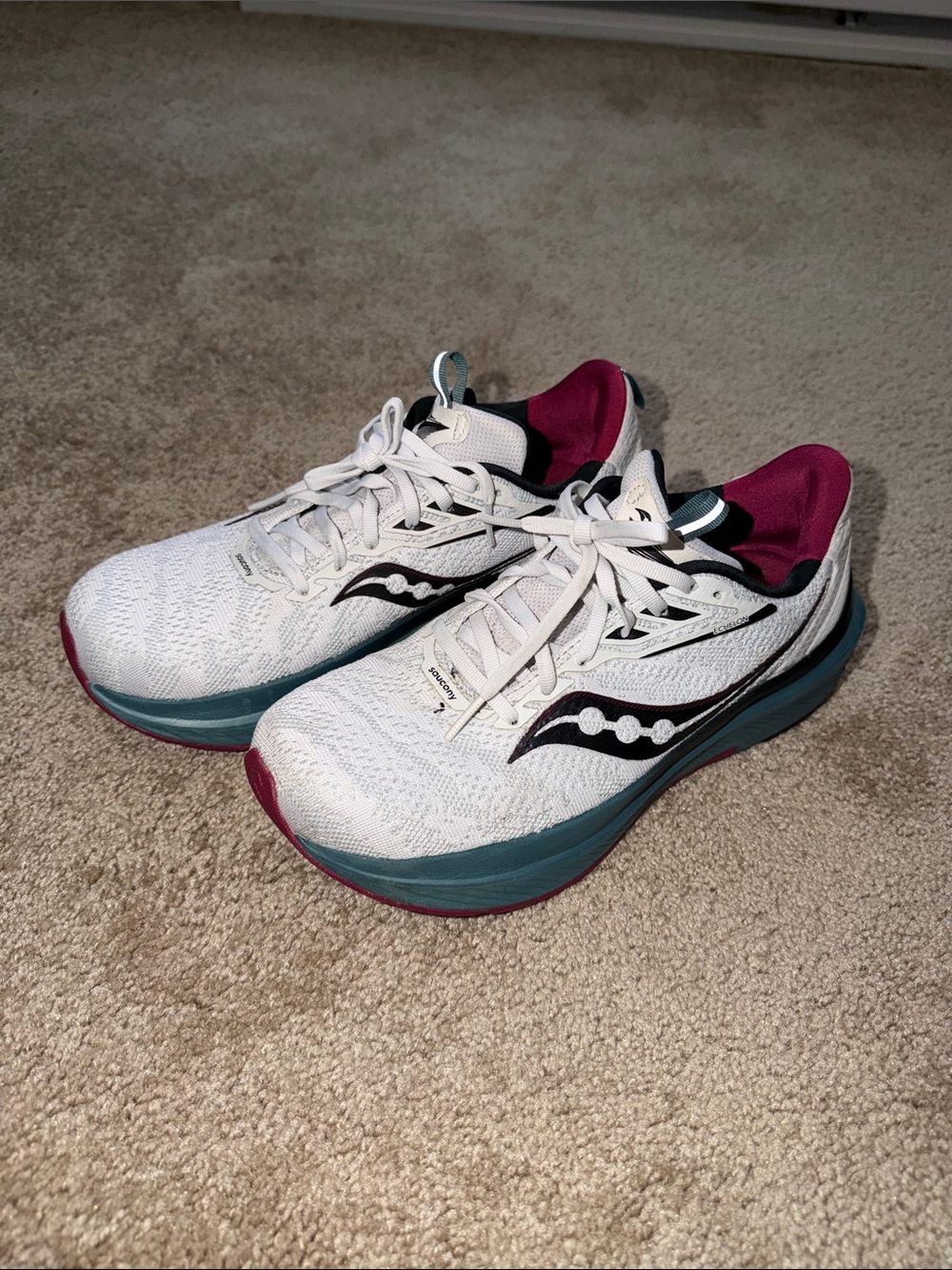 Saucony Echelon 9 in Fog/ Moss